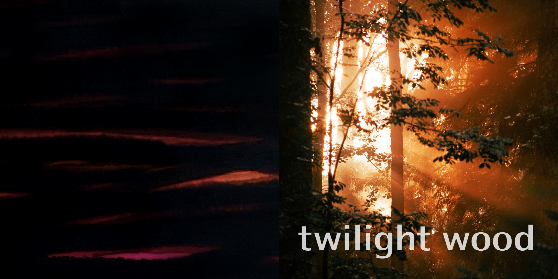 twilight wood